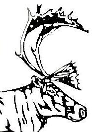 Caribou Logo