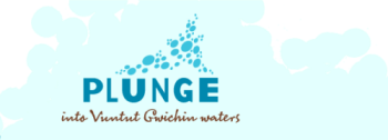 Plunge